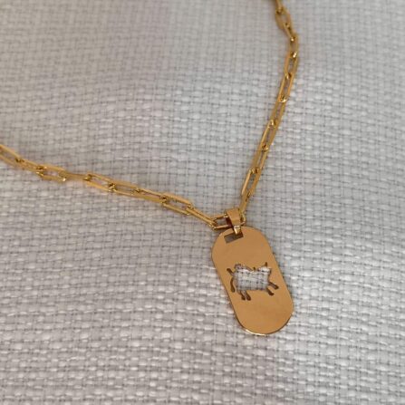 Colar Masculino Rodeo Cartier banhado a ouro 18k