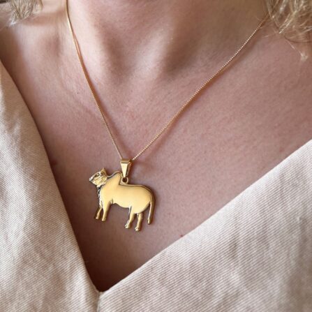 Colar Feminino Boi Chique banhado Ouro 18k